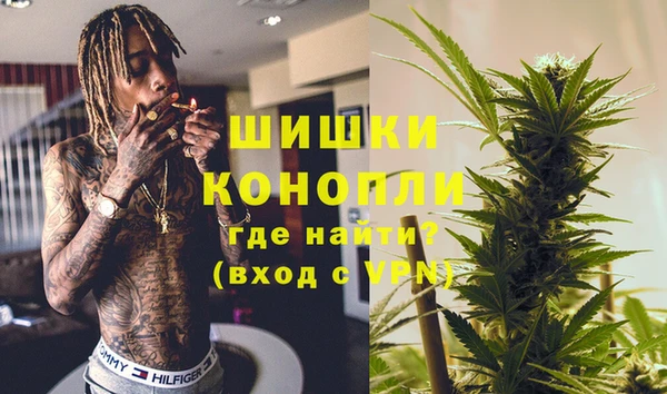 прущие грибы Козельск
