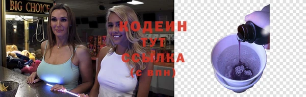 прущая мука Корсаков