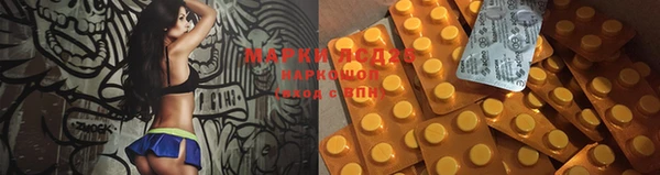 мяу мяу мука Коряжма