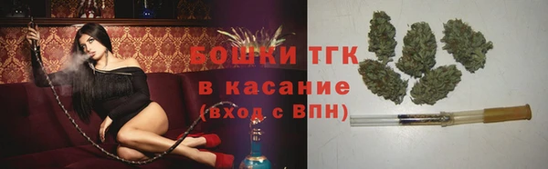 прущая мука Корсаков