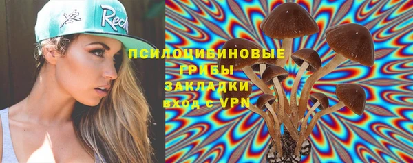 прущая мука Корсаков