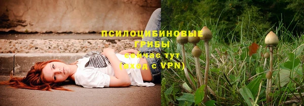 прущая мука Корсаков