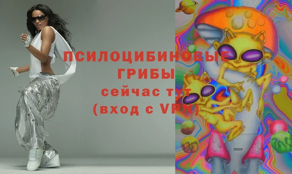 мяу мяу мука Коряжма