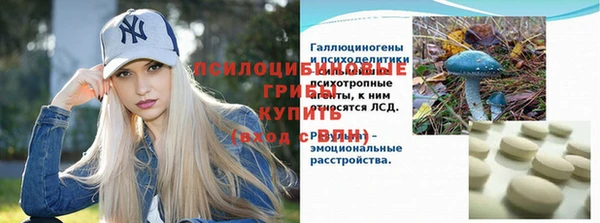 прущая мука Корсаков