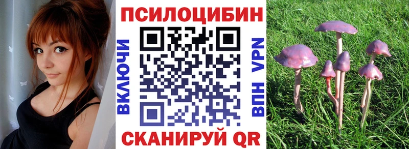 kraken ТОР  Куса  Галлюциногенные грибы Psilocybine cubensis 